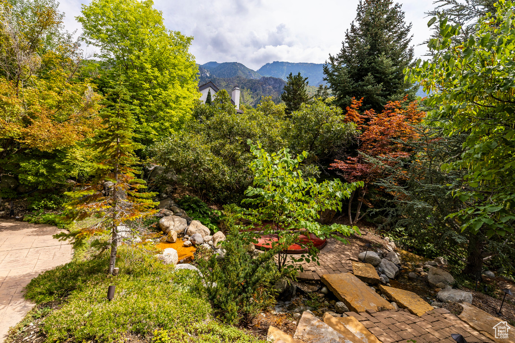 Photo 74 for MLS #2108931 at 3409 E Seven Springs Dr