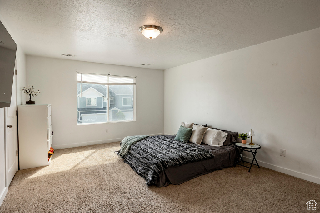 Photo 12 for MLS #2108938 at 14948 S Messi St