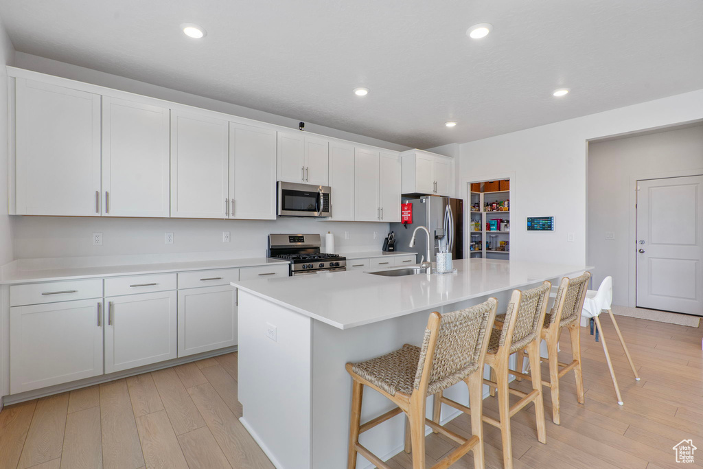 527 W FLORA DR Saratoga Springs, UT 84045