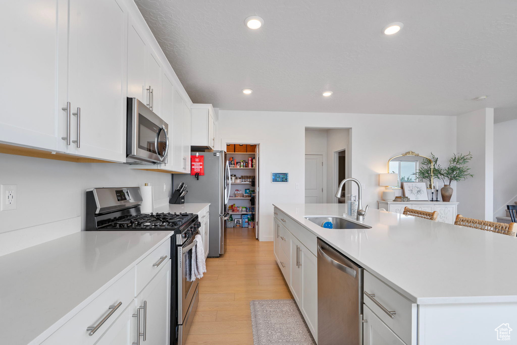 527 W FLORA DR Saratoga Springs, UT 84045