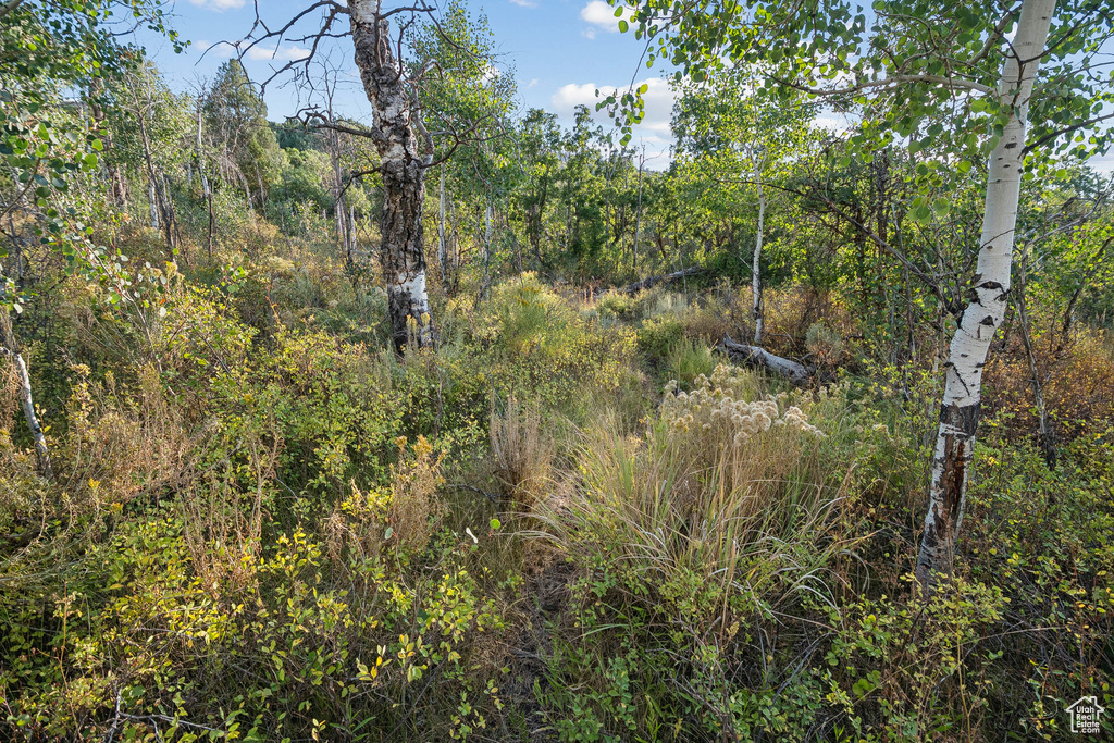 2148  WESTVIEW DR Heber City, UT 84032