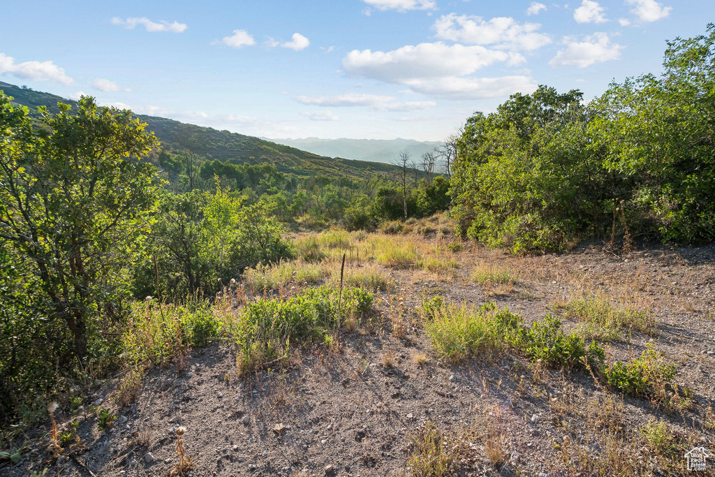 2148  WESTVIEW DR Heber City, UT 84032