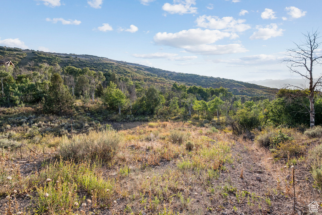 2148  WESTVIEW DR Heber City, UT 84032