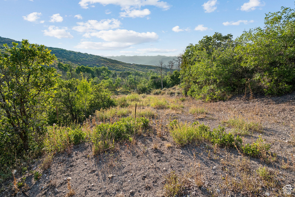 2148  WESTVIEW DR Heber City, UT 84032