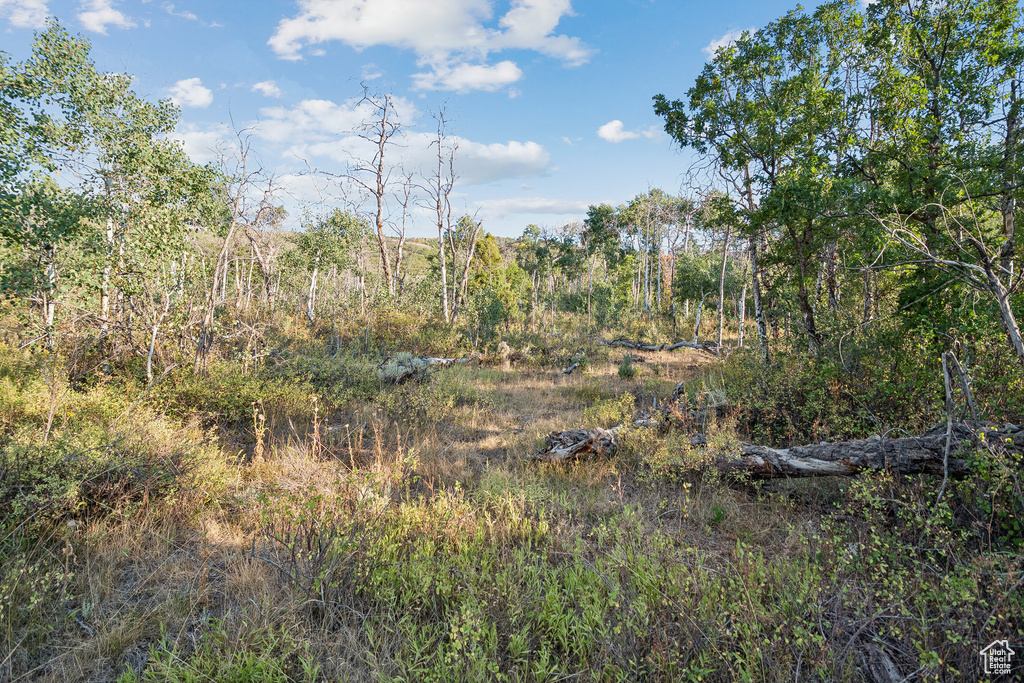 2148  WESTVIEW DR Heber City, UT 84032