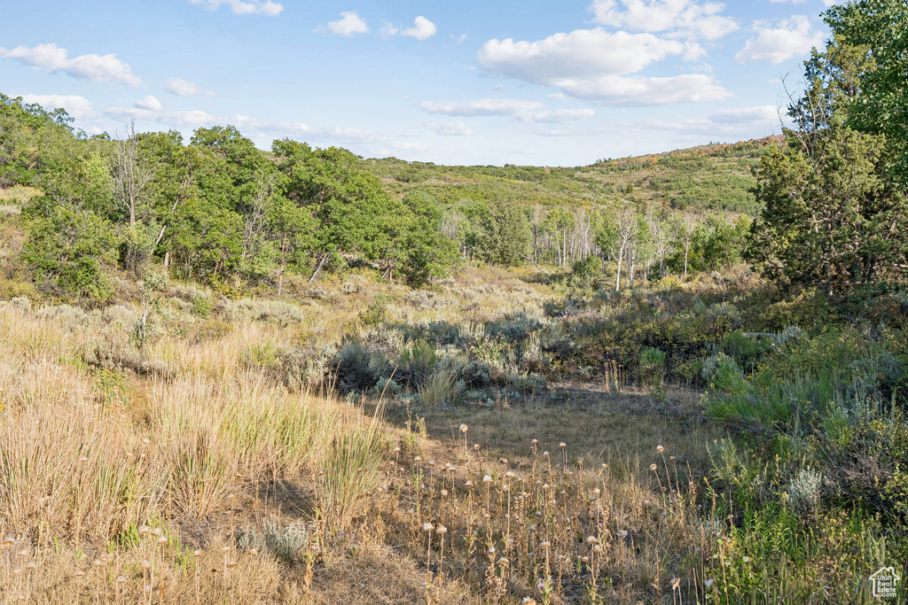 2148  WESTVIEW DR Heber City, UT 84032