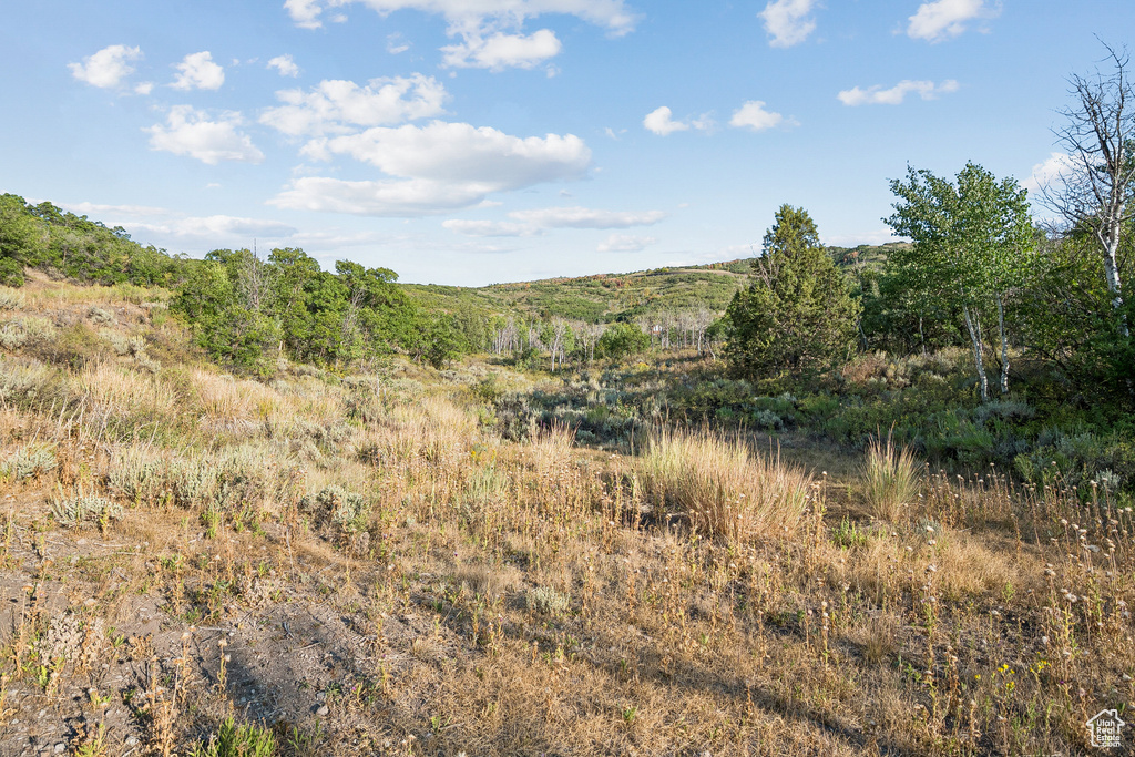 2148  WESTVIEW DR Heber City, UT 84032