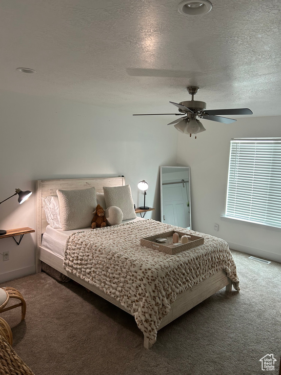 Photo 13 for MLS #2109086 at 5058 N Sage Park Dr