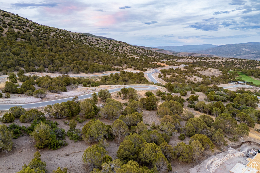 1507  RED CASTLE CIR Heber City, UT 84032