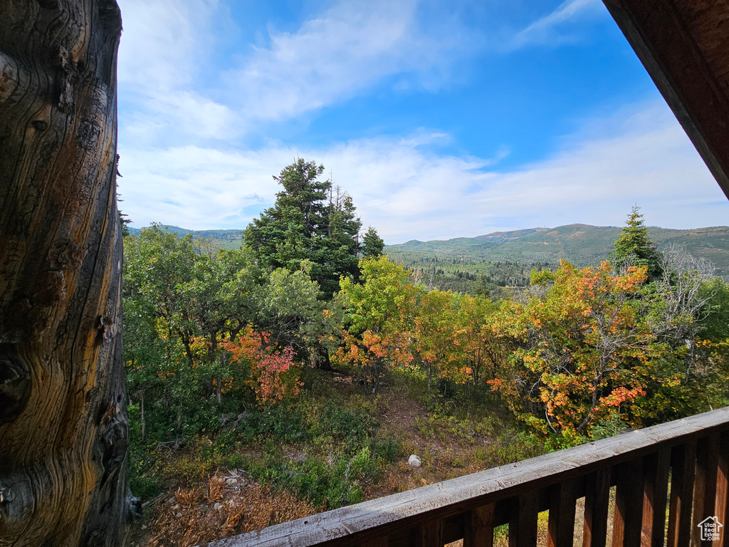 Photo 20 for MLS #2109092 at 2230 S Porcupine Cir