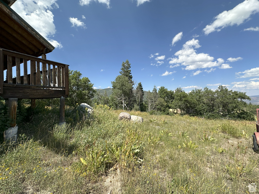 Photo 4 for MLS #2109092 at 2230 S Porcupine Cir