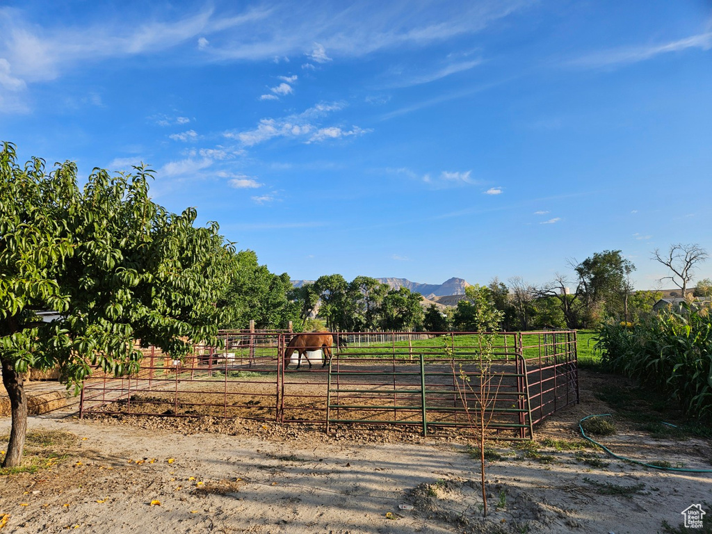290 W 300 N Orangeville, UT 84537