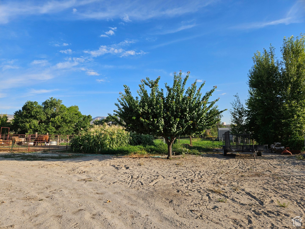290 W 300 N Orangeville, UT 84537