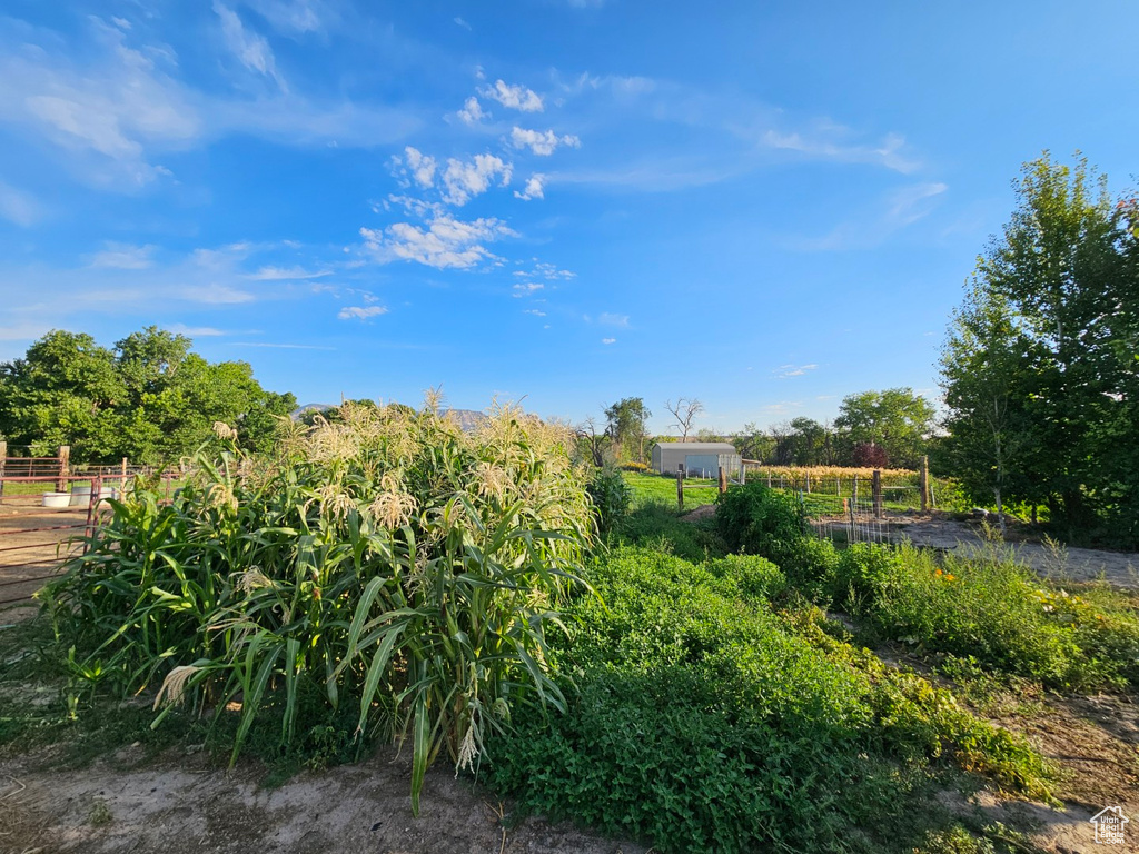 290 W 300 N Orangeville, UT 84537
