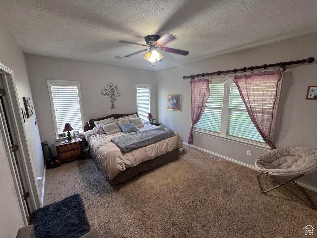 Photo 21 for MLS #2109131 at 4366 W Degray Dr