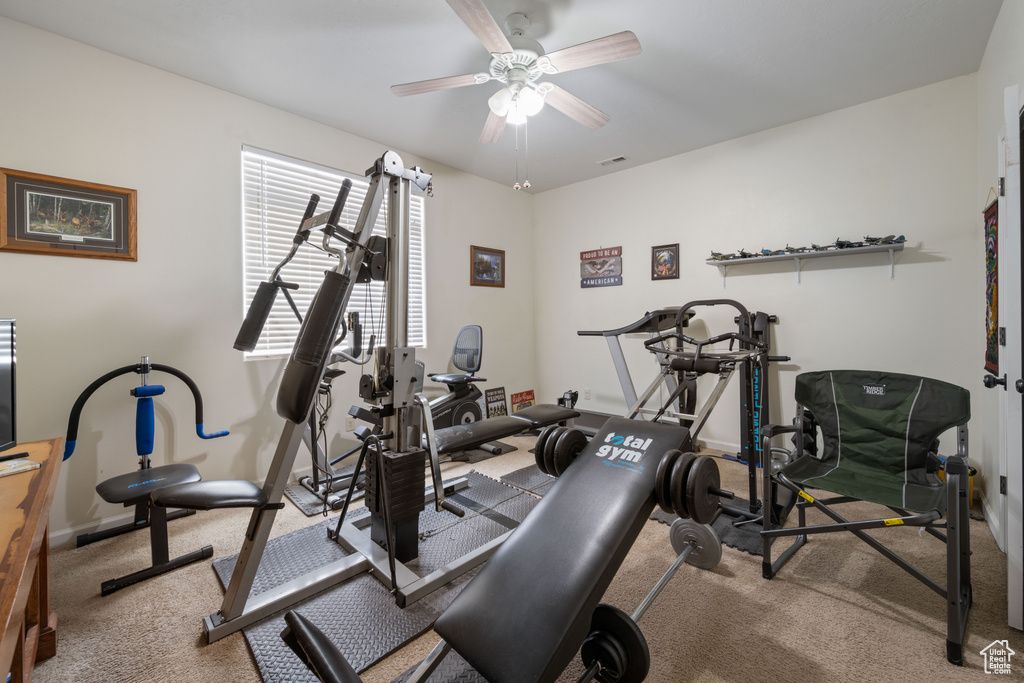 Photo 12 for MLS #2109141 at 1008 S Mulberry Dr