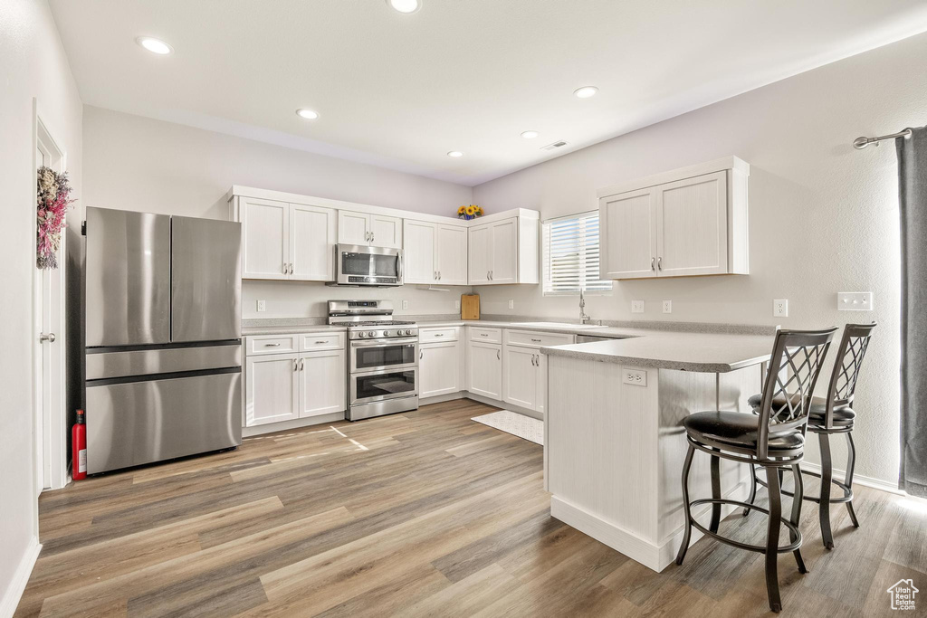 295 S WILLOW LN Lehi, UT 84043