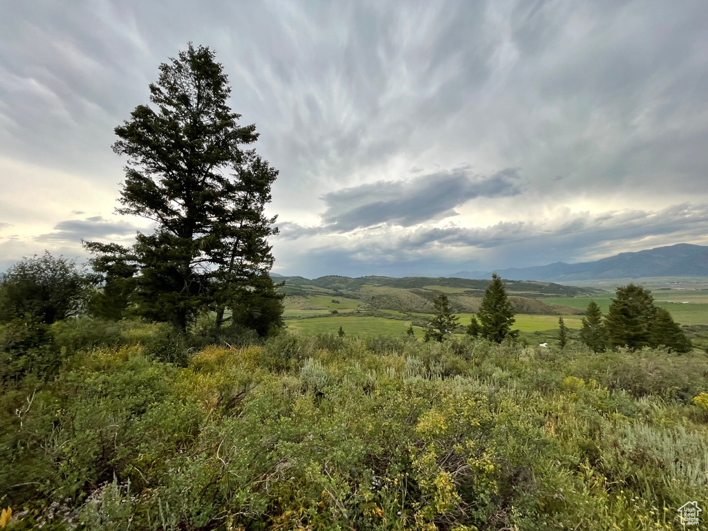 3  RIDGE DR Freedom, WY 83120