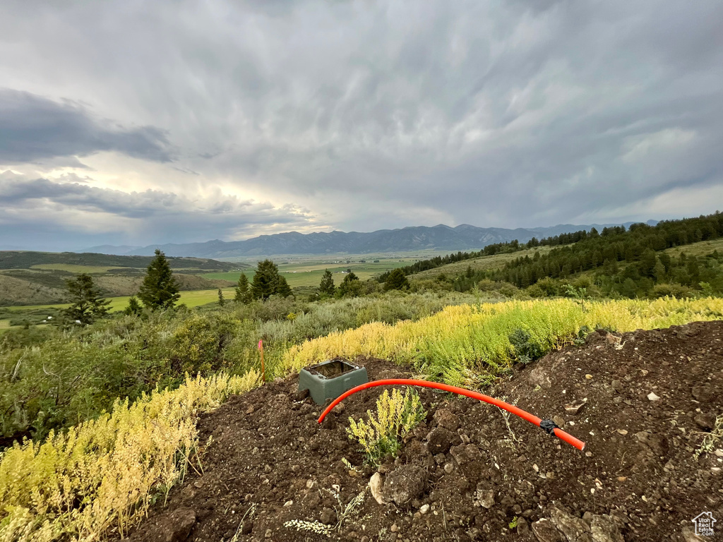 3  RIDGE DR Freedom, WY 83120