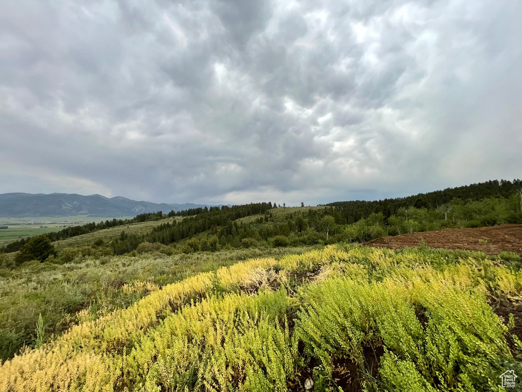 3  RIDGE DR Freedom, WY 83120