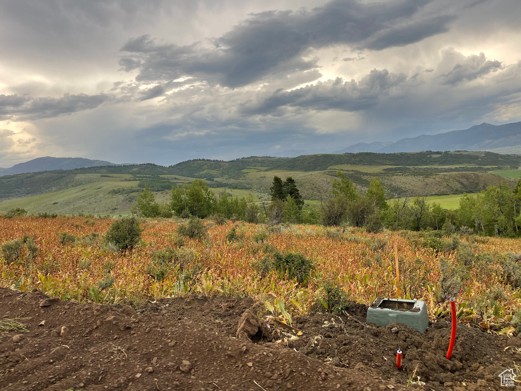 3  RIDGE DR Freedom, WY 83120