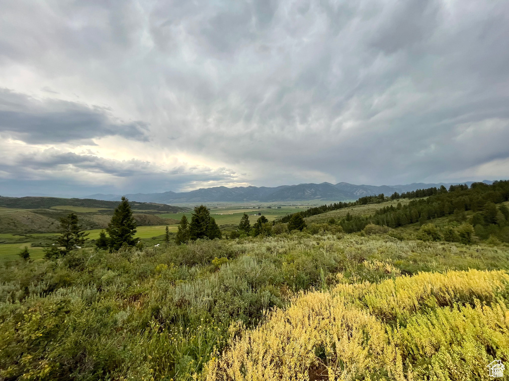 5  RIDGE DR Freedom, WY 83120