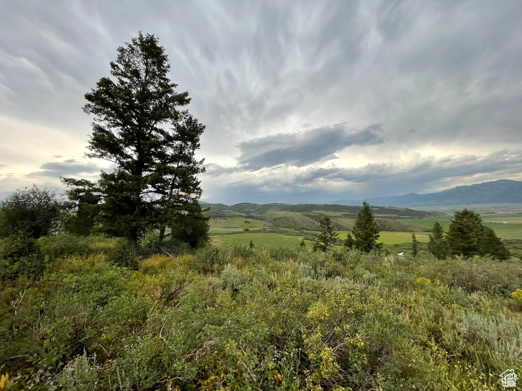 5  RIDGE DR Freedom, WY 83120