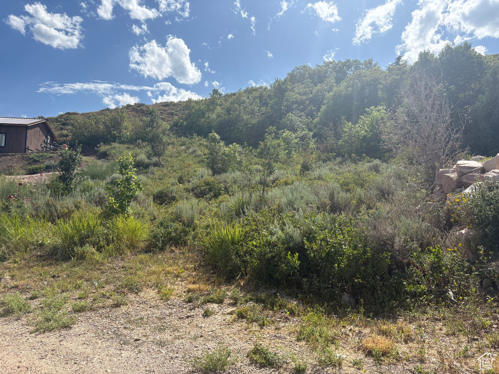 347  JUNIPER DR Fish Haven, ID 83287