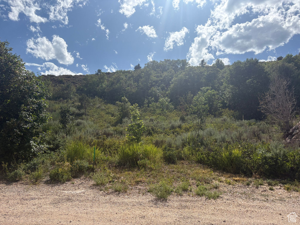 347  JUNIPER DR Fish Haven, ID 83287