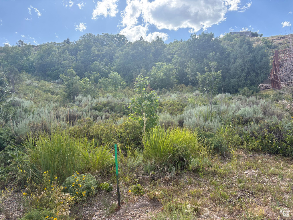 347  JUNIPER DR Fish Haven, ID 83287