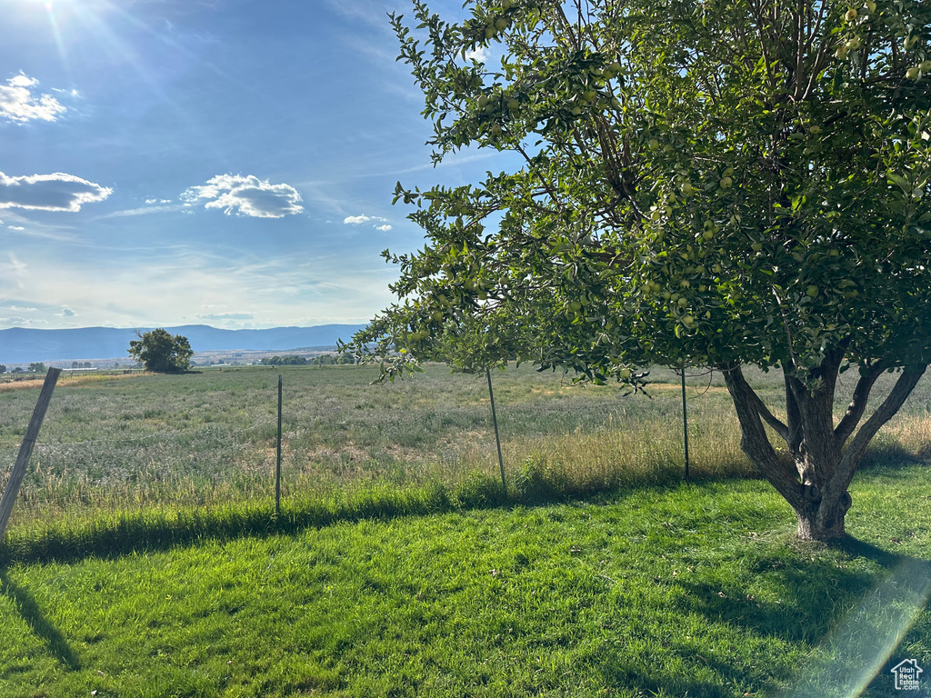 Photo 43 for MLS #2109247 at 125 N 1080 West