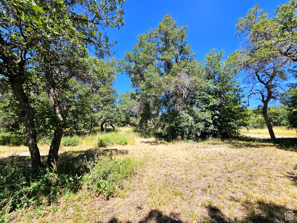 Photo 32 for MLS #2109259 at 31 Juniper Dr #31