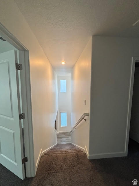 Photo 18 for MLS #2109264 at 4243 W Park Lake Ct