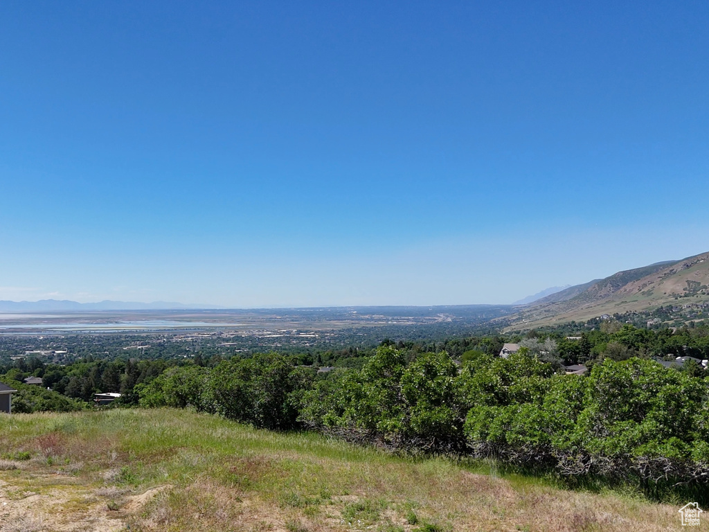 1785 S 1450 E Bountiful, UT 84010