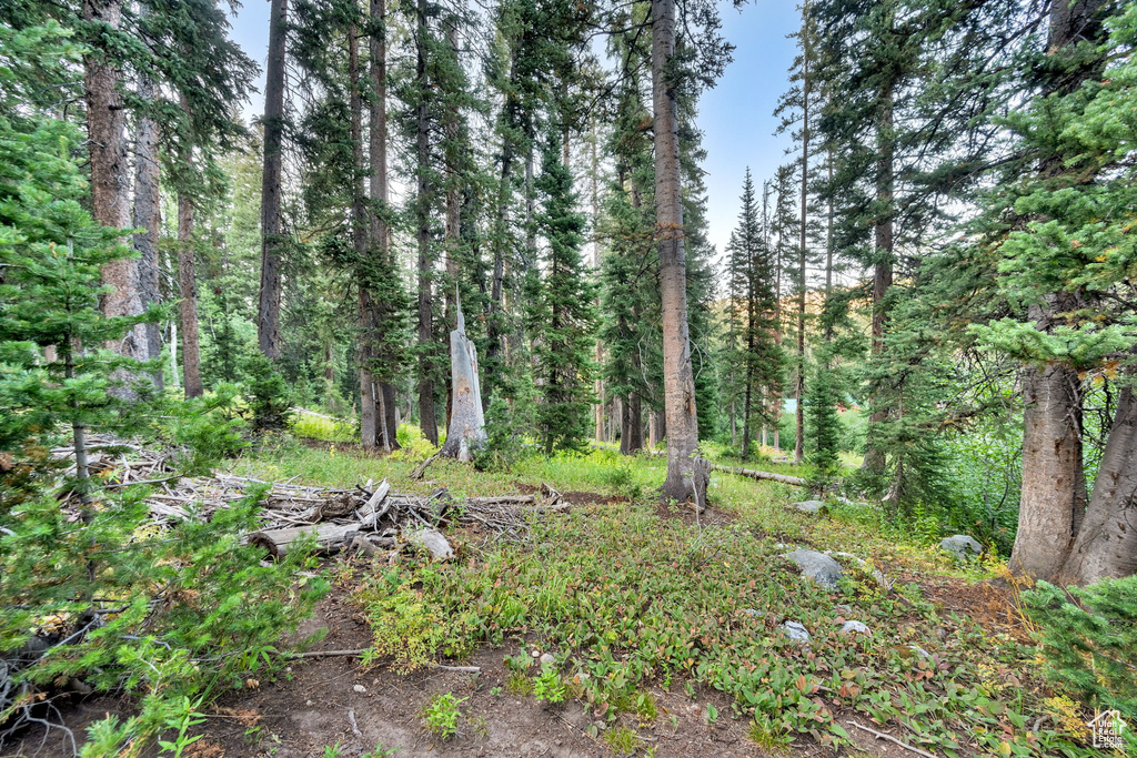 Photo 29 for MLS #2109311 at 12423 E Camp Tuttle Rd