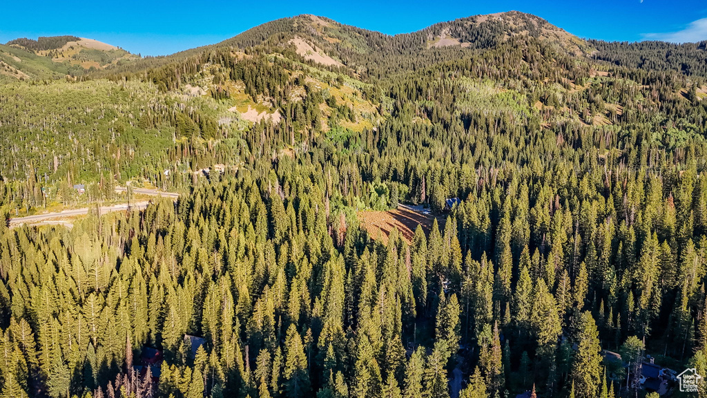 Photo 41 for MLS #2109311 at 12423 E Camp Tuttle Rd