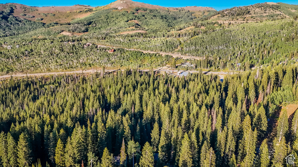 Photo 40 for MLS #2109311 at 12423 E Camp Tuttle Rd