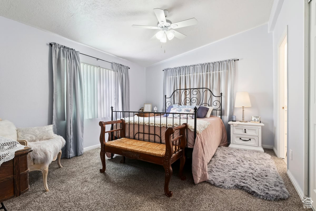 Photo 11 for MLS #2109314 at 9332 S 455 West #29