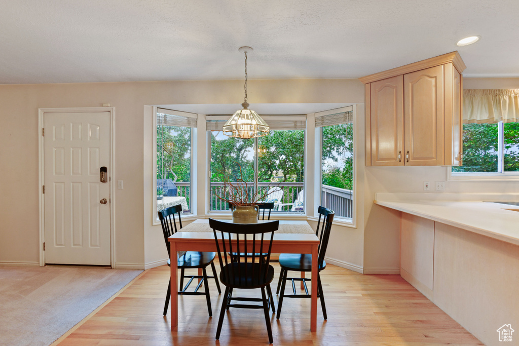 Photo 10 for MLS #2109363 at 8868 S Oak Hollow Cir