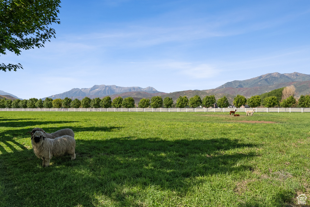 Photo 177 for MLS #2109397 at 2344 W 3000 South