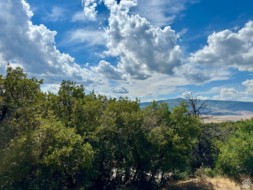 35216 N 9895 E Fairview, UT 84629