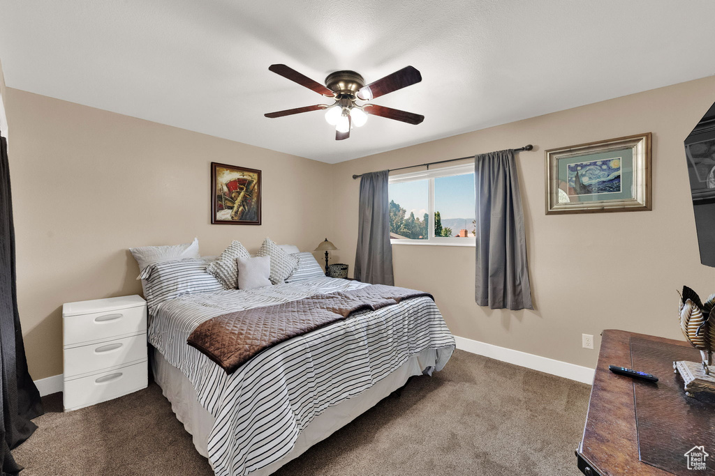 Photo 10 for MLS #2109409 at 1071 N Timpview Dr