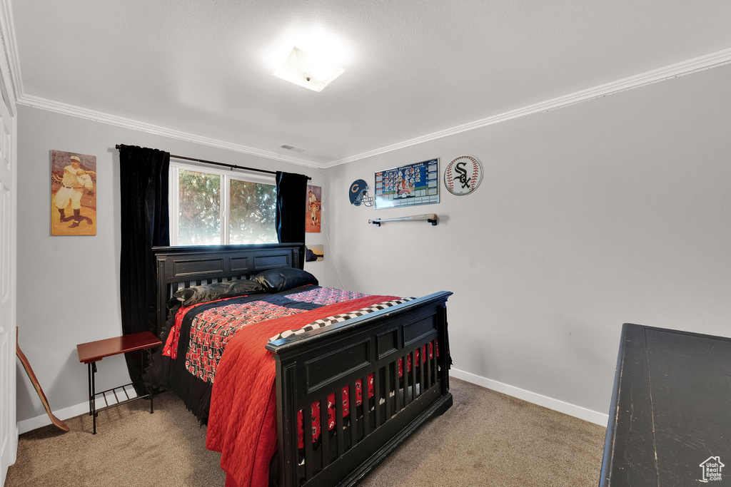 Photo 17 for MLS #2109409 at 1071 N Timpview Dr