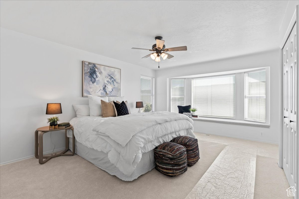 Photo 16 for MLS #2109411 at 9441 S Newkirk St