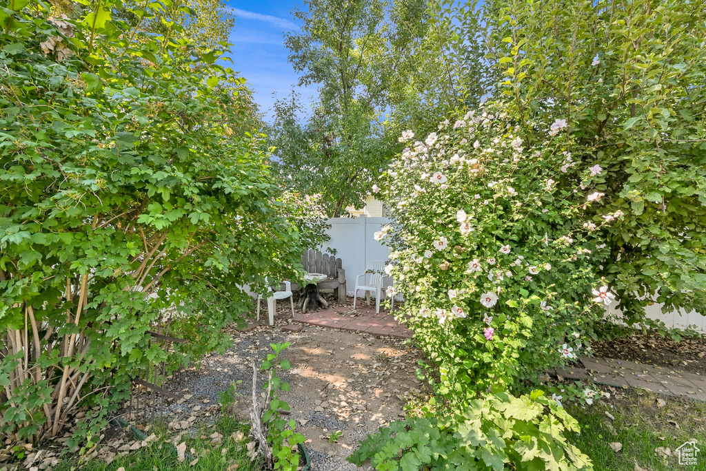 2114 S 825 E Clearfield, UT 84015