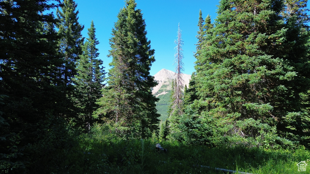  La Sal, UT 84530