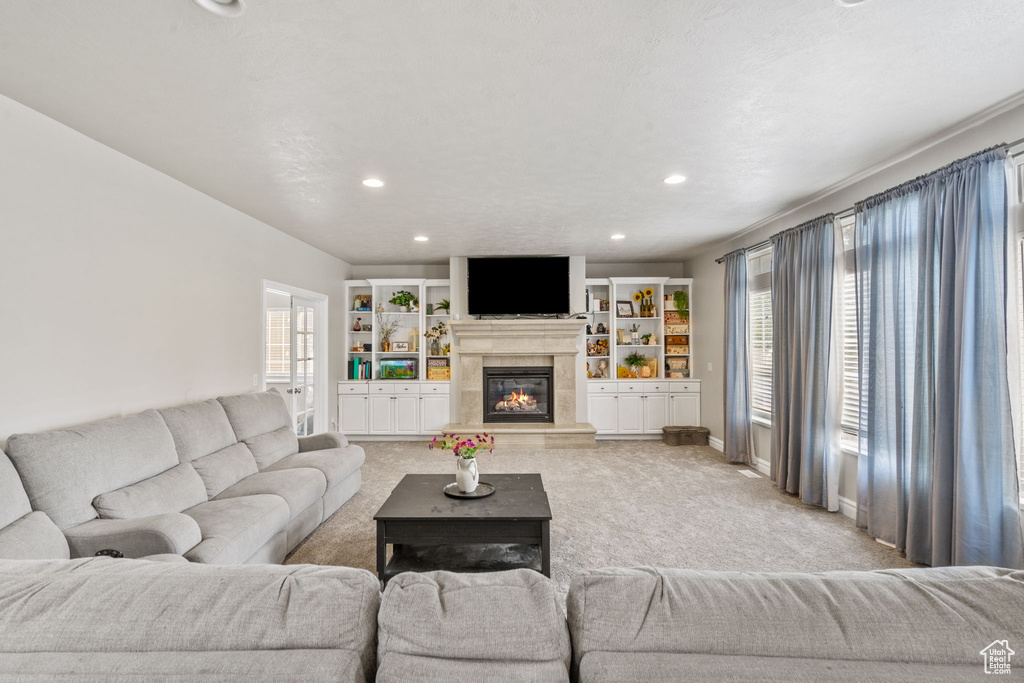 Photo 14 for MLS #2109489 at 11282 S Alpine Creek Way
