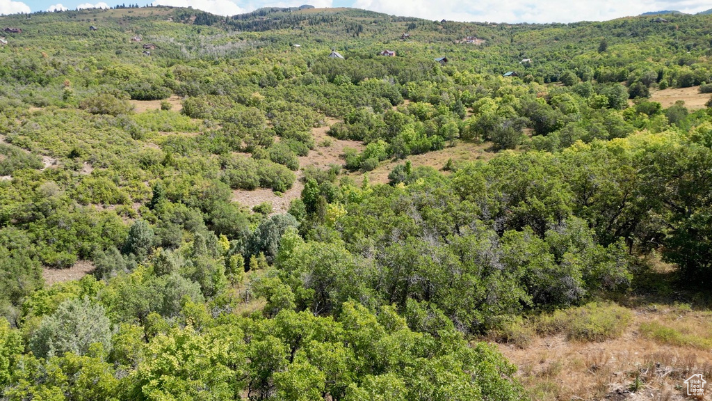 23203 N 14133 E Fairview, UT 84629