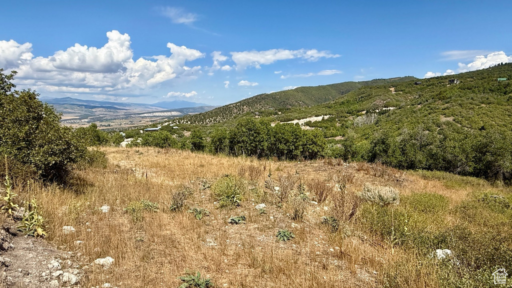 23203 N 14133 E Fairview, UT 84629