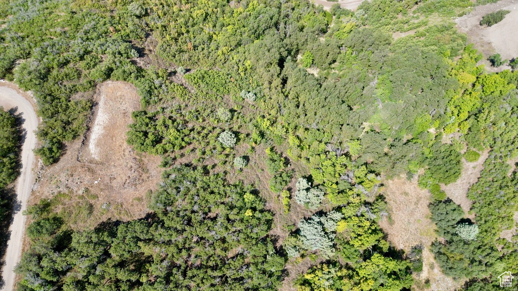 23203 N 14133 E Fairview, UT 84629